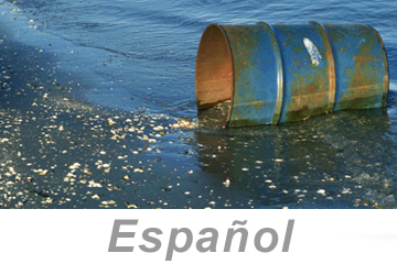 Stormwater Pollution Protection (Spanish), PS4 eLesson