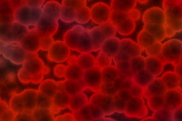 Mini-module - Bloodborne Pathogens, PS4 eLesson